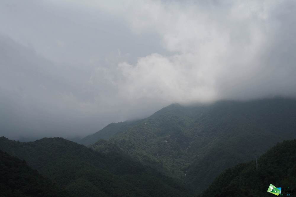 IMG_5782.JPG