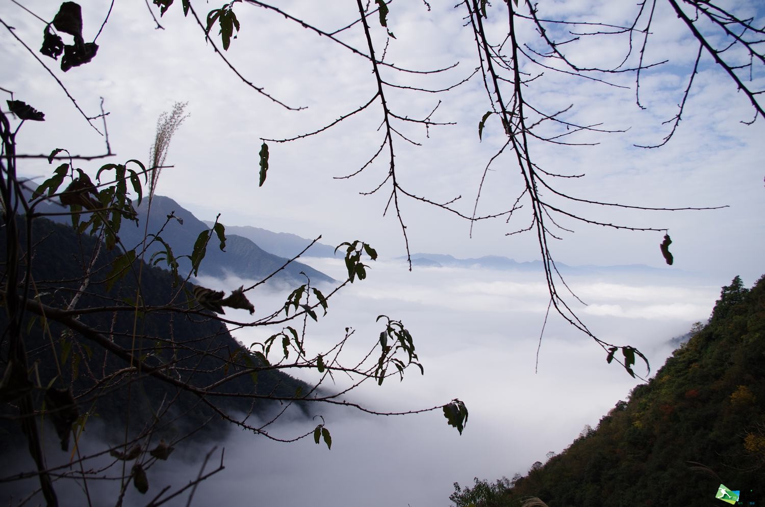 武功山032.jpg