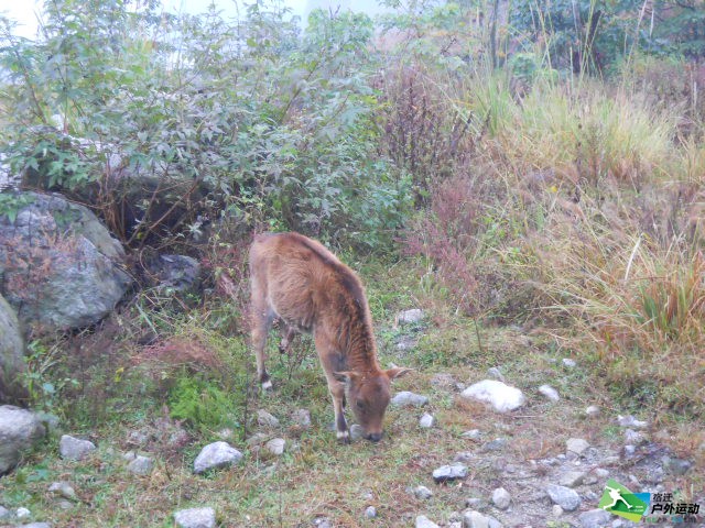 DSCN4328.JPG