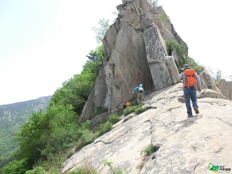 CIMG5049.jpg