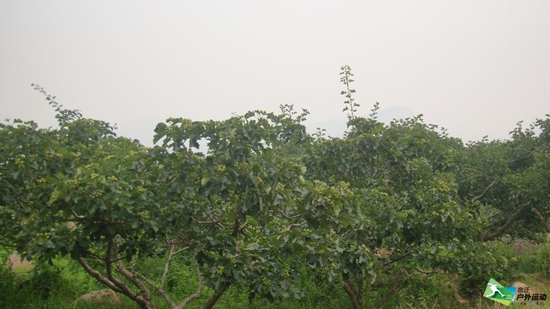 DSC04077_副本.jpg