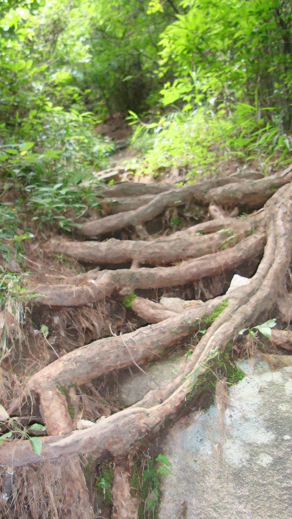 天柱山046.jpg