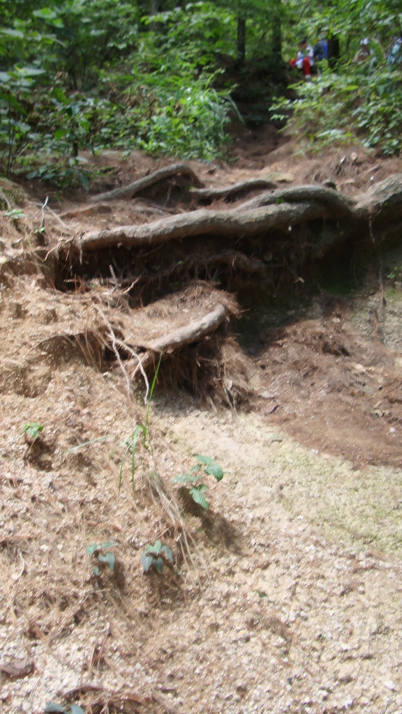 天柱山047.jpg