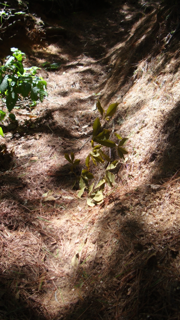 天柱山048.jpg