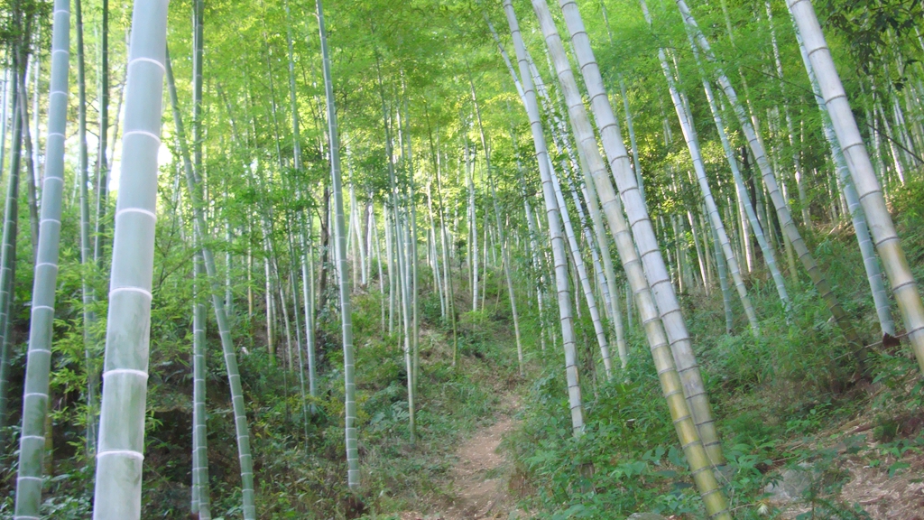 天柱山165.jpg