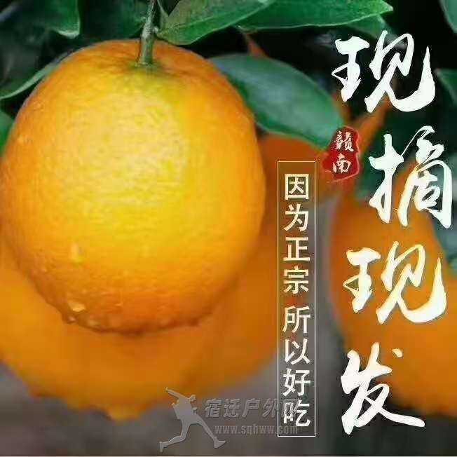 季节礼物，江西橙子 赣南脐橙当季新鲜水果产地直发多汁2024